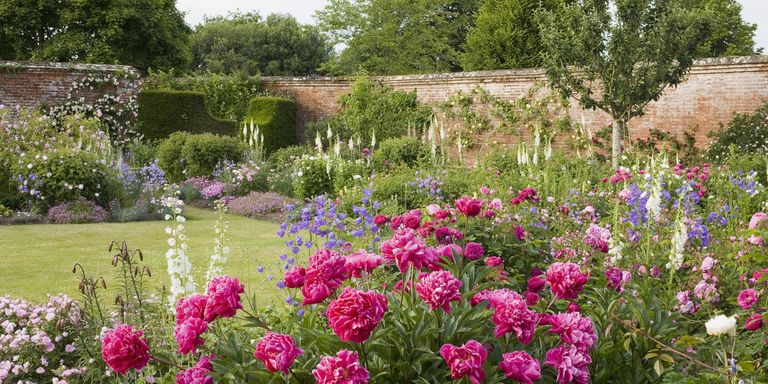 garden care in romsey